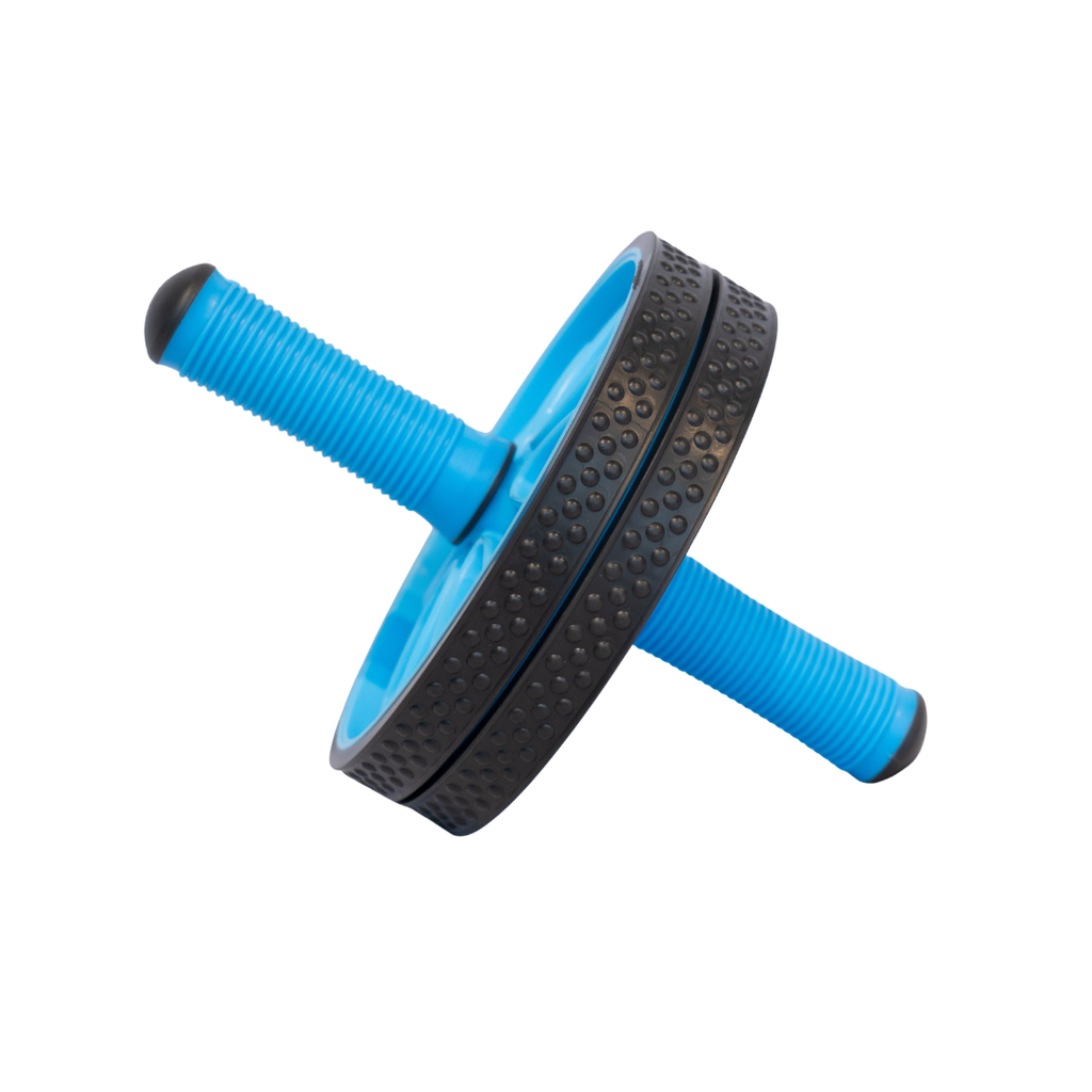 Wheel For Exercise Exercise Wheel – The Fitness Depot