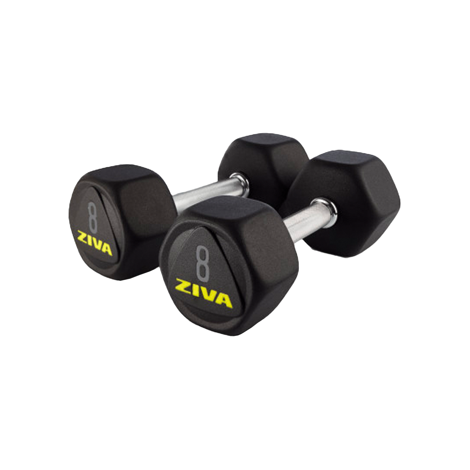 ZIVA SL Premium Hexagon Virgin Rubber Dumbbells